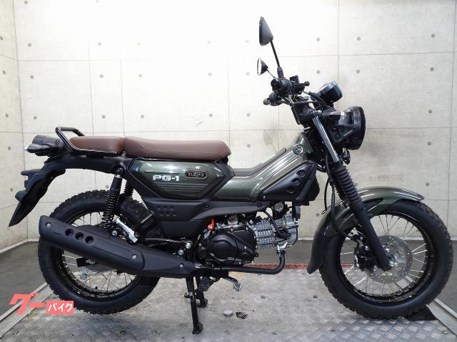 ＰＧ−１　並行輸入新車　ベトナム仕様　ノーマル　７１６２７
