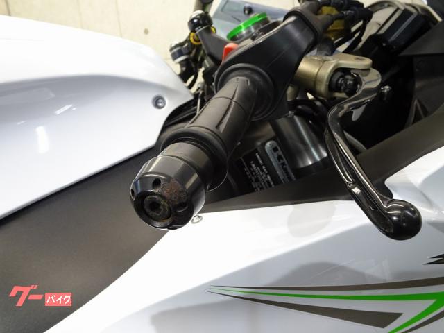 カワサキ Ninja ZX－10R ZXT00S 2018年モデル 逆