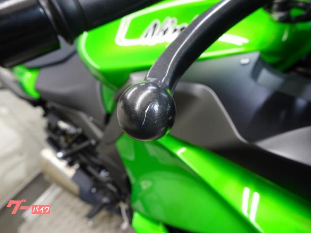 カワサキ Ninja 1000 ZXT00W 2017年モデル ABS