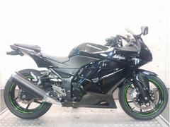 カワサキ　Ｎｉｎｊａ　２５０Ｒ　ＥＸ２５０Ｋ　２０１０年モデル　エンジンスライダー　フェンダーレス　ハンドルグリップ　６９９５９
