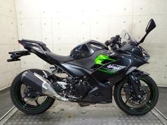 カワサキ　Ｎｉｎｊａ　２５０　２０２４年モデル　ＥＸ２５０Ｙ　ＡＢＳ　並列２気筒エンジン　ノーマル　７５８２６