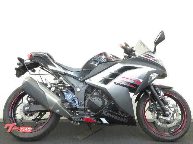 交渉中）Ninja250 14スペシャルエディション ABS カスタム
