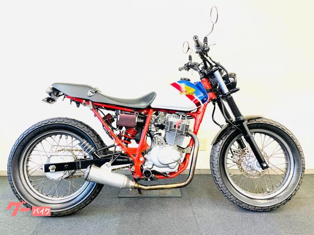ＦＴＲ２２３　スカチューン　カスタムマフラー　フェンダーレス
