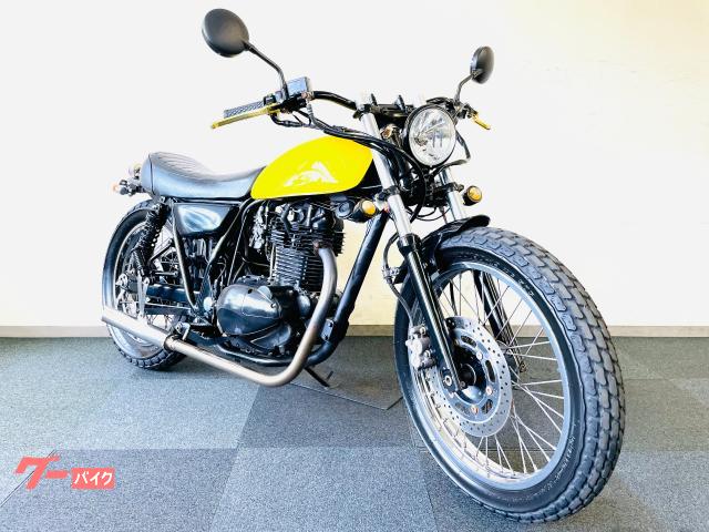 ２５０ＴＲ　キャブレターモデル　カスタムマフラー　ワイドハンドル　テールランプ