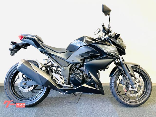 Ｚ２５０　ＥＲ２５０Ｃ　ヘルメットホルダー　グリップヒーター　ＵＳＢ電源ソケット２口　ＡＢＳ装備