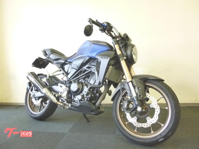 ＣＢ２５０Ｒ　カスタムマフラー　リアフェンダーレス　マッドガード　デジタルメーター　前後ドライブレコーダー