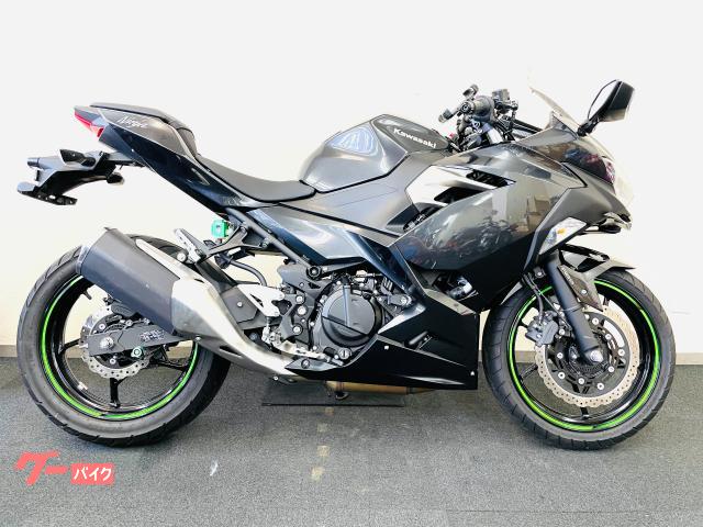 Ninja 250 EX250P型 ETC2.0 エアロカスタム カーボン調スクリーン エンジンスライダー 純正キー2本