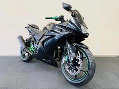 カワサキ　Ｎｉｎｊａ　２５０Ｒ　フェンダーレス　バックステップ　マルチバー　カスタムレバー