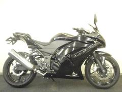カワサキ　Ｎｉｎｊａ　２５０Ｒ　ＬＥＤヘッドライト　ウインカー　テールランプ　リアフェンダーレス　エンジンスライダー　ヘルメットホルダー