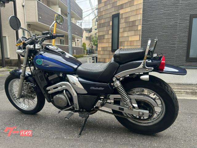 カワサキ エリミネーター250LX C3型 ワンオフカーカースリップ