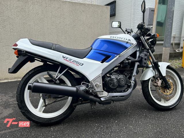 HONDA VTZ250 タンク バイク 今日中16000 ホンダ VTZ250 タンク錆取りコーティング済｜レッドモーター