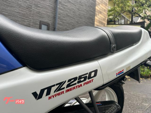 ホンダ VTZ250 タンク錆取りコーティング済｜レッドモーター