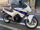 ホンダ ＣＢＲ２５０Ｆ　オリジナルコンディション　カムギヤトレイン４５馬力フルパワー　ＭＣ１４　１９８６年モデルの画像（東京都