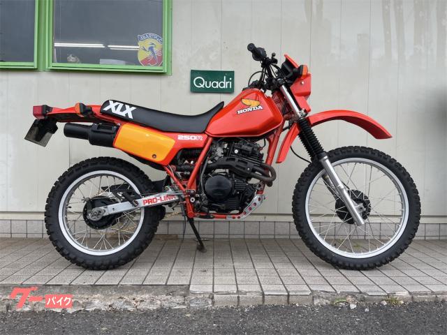 ＸＬＸ２５０Ｒ　前後スポーク張替え済　チェーン新品　ウィンカーテールレンズ輸出仕様