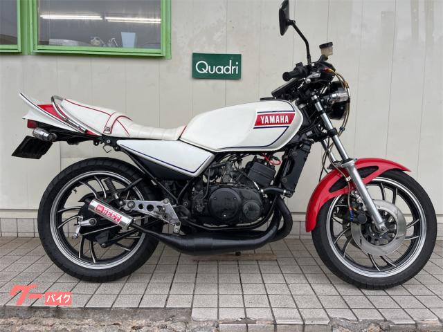 ＲＺ２５０　チャンバー　シート　ＢＥＥＴテールカウル　ハンドル