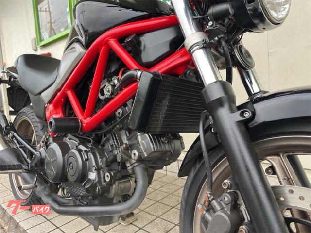 ホンダ VTR250 エンジンスライダー 前後ドラレコ｜クワドリ