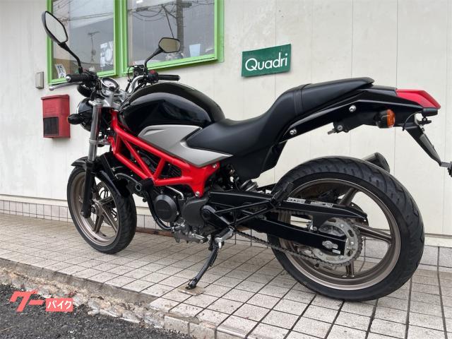ホンダ VTR250 エンジンスライダー 前後ドラレコ｜クワドリ