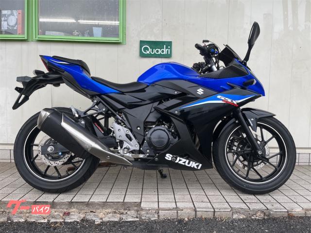 ＧＳＸ２５０Ｒ　ＥＴＣ　ヘッドライトカバー