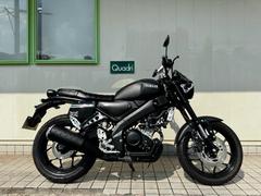 ヤマハ　ＸＳＲ１５５　ライトカスタム　ショートスクリーン　メットホルダー