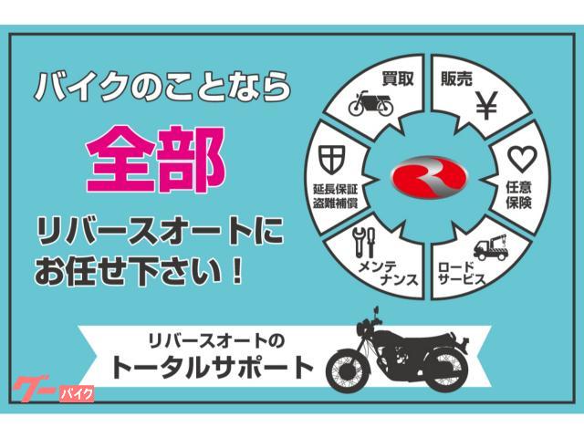 カワサキ Ｎｉｎｊａ ＺＸ－２５Ｒ ＳＥ 逆車フルパワー ４６１９０ 