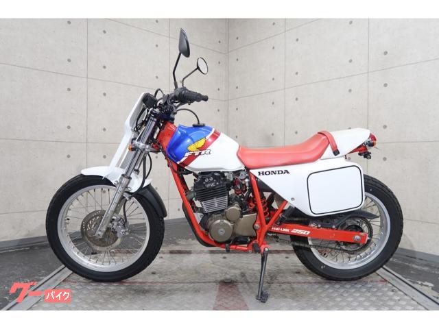 ホンダ ＦＴＲ２５０ ＭＤ１７ スーパートラップマフラー ゼッケンプレート フェンダーレス  ５７７４４｜リバースオート八王子｜新車・中古バイクなら【グーバイク】