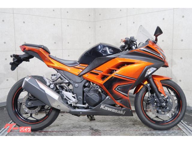 Ｎｉｎｊａ　２５０　ＥＸ２５０Ｌ　ＥＴＣ　バーエンド　エンジンスライダー　６６５５４