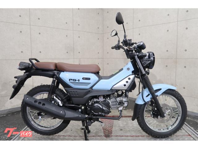 ＰＧ−１　６７３２６