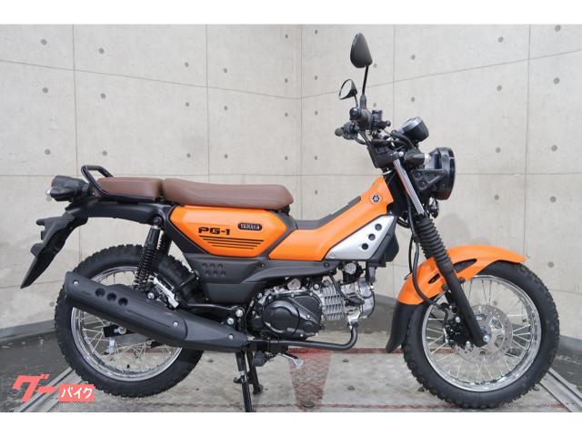 ＰＧ−１　６７３４３
