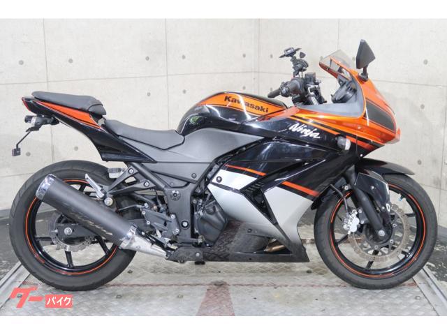 Ｎｉｎｊａ　２５０Ｒ　６８３６９