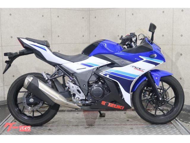 ＧＳＸ２５０Ｒ　ＤＮ１１Ａ　マルチバー　６９１９３