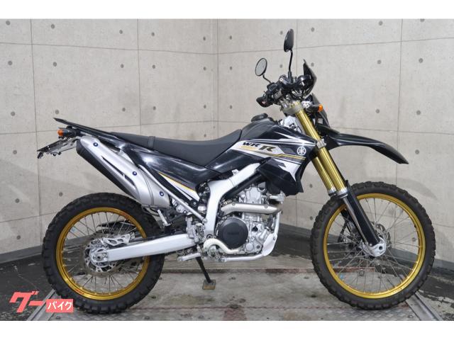 ＷＲ２５０Ｒ　ＥＴＣ　フェンダーレス　ＺＥＴＡハンドガード　ゴールドホイール　７０２７９