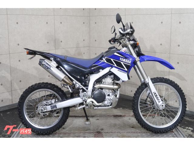 ＷＲ２５０Ｒ　ＤＧ１５Ｊ　デルタサイレンサー　フェンダーレス　スクリーン　ナックルガード　７０１６１