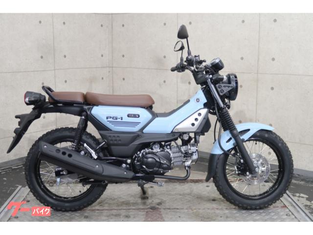 ＰＧ−１　７０９９３