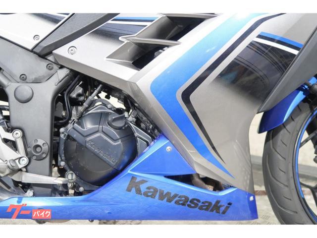 カワサキ Ninja 250 EX250L スペシャルエディション