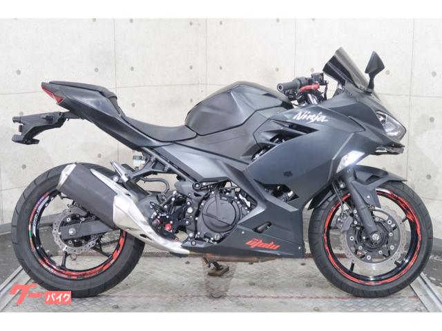 Ｎｉｎｊａ　２５０　ＥＸ２５０Ｐ　ＵＳＢ　バックステップ　グリップヒーター　ビレットレバー　７１５９９