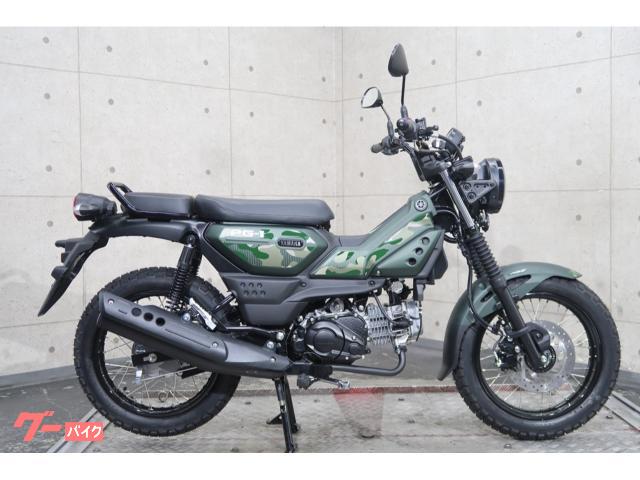 ＰＧ−１　２０２６年リミテッドエディションモデル　ＡＢＳモデル　７２６４７