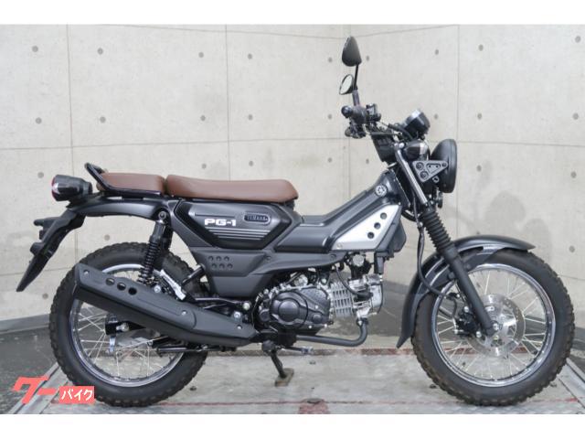 ＰＧ−１　ＬＥＤヘッドライト　７２３１０