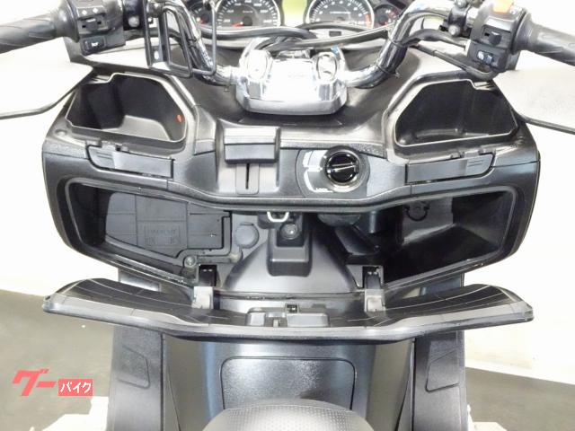 スズキ スカイウェイブ250 タイプS CJ46A 2009年モデル スズキ スカイウェイブ250 タイプS CJ46A 2009年モデル