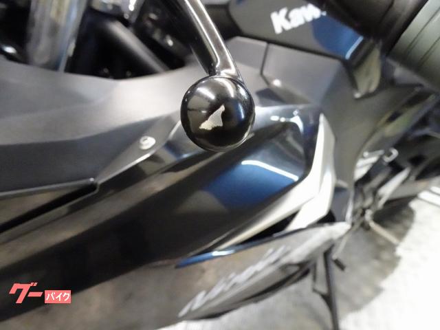 カワサキ Ninja 250 EX250P 2021年モデル 並列2