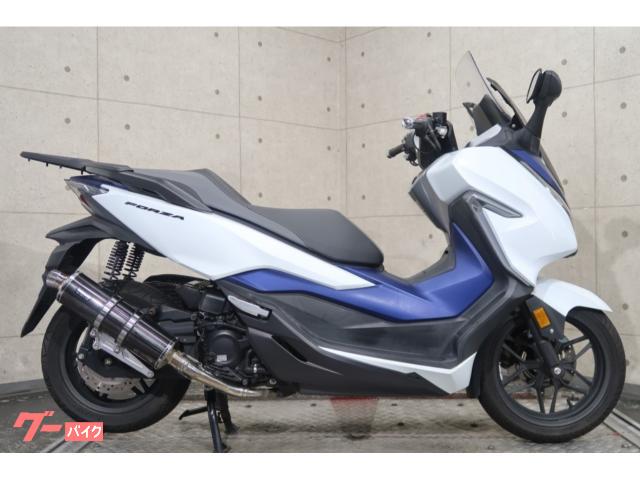 フォルツァ　ＭＦ１３　ビームスフルエキマフラー　グリップヒーター　リアキャリア　７９４４４