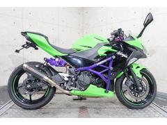 カワサキ　Ｎｉｎｊａ　２５０　ＥＸ２５０Ｐ　スタントゲージ　スコーピオンサイレンサー　セパレートハンドル　フェンダーレス等　６００９６