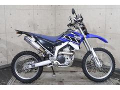 ヤマハ　ＷＲ２５０Ｒ　ＤＧ１５Ｊ　デルタサイレンサー　フェンダーレス　スクリーン　ナックルガード　７０１６１