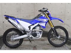 ヤマハ　ＷＲ２５０Ｒ　ＤＧ１５Ｊ　２０１４年　フェンダーレス　ナックルガード　ＺＥＴＡハンドル　アンダーミラー　６９６８２