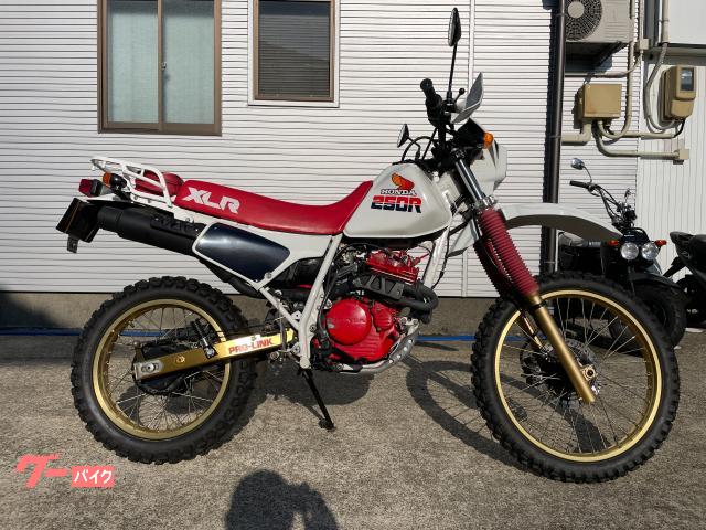 XLR250R MD16 赤エンジン - ホンダ