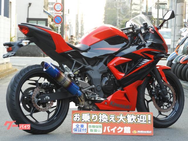 カワサキ Ｎｉｎｊａ　２５０ＳＬ　２０１５年モデル　社外マフラー　バーマウント　カスタムレバーの画像（埼玉県