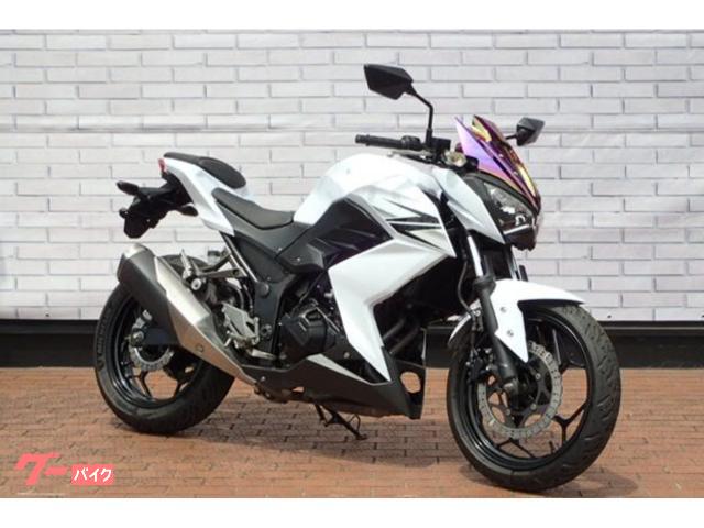 Ｚ２５０　社外スクリーンバイザー装備