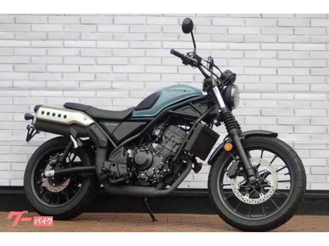 ＣＬ２５０　サドルバックサポート装備