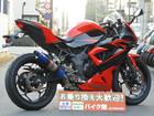 カワサキ Ｎｉｎｊａ　２５０ＳＬ　２０１５年モデル　社外マフラー　バーマウント　カスタムレバーの画像（埼玉県
