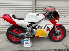 ヤマハ　ＹＳＲ５０　新車　マルボロカラー