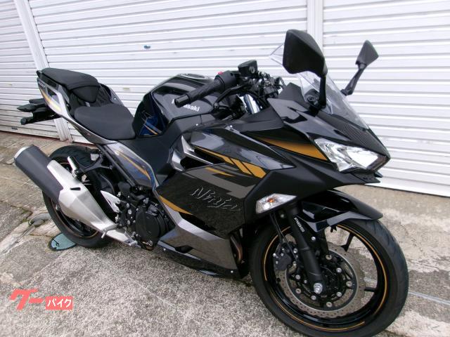 Ｎｉｎｊａ　４００